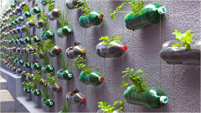Jardín con botellas recicladas