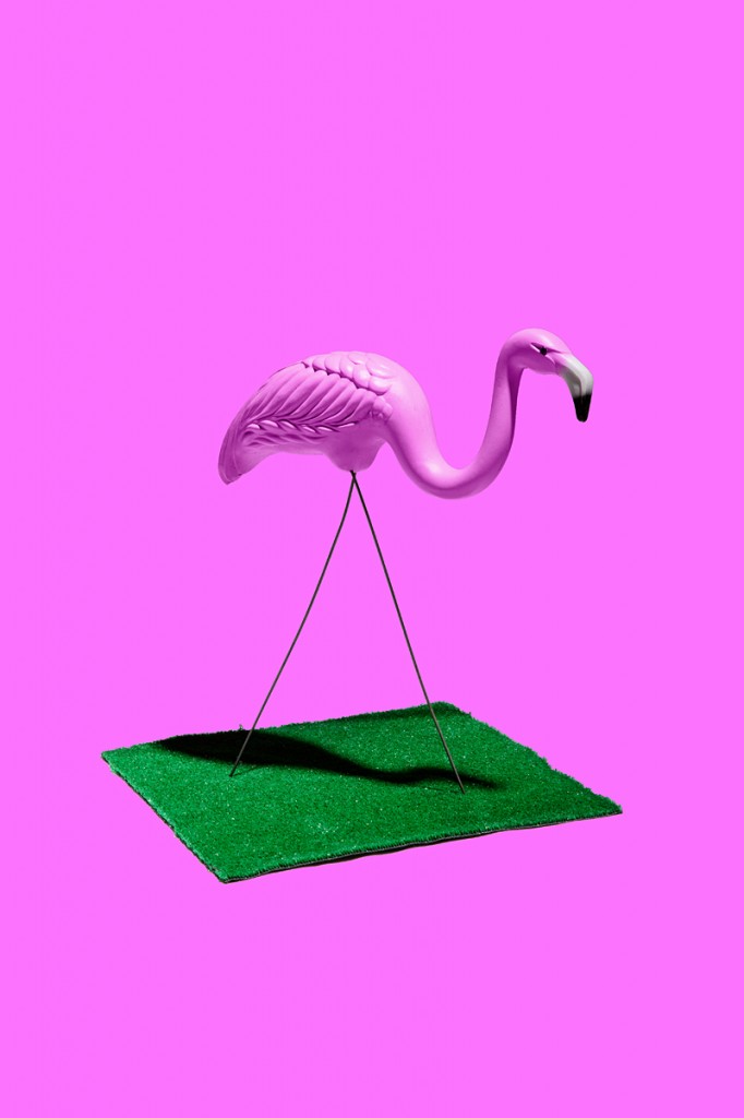 Crayola Theory | Pink Flamingo - #FC74FD