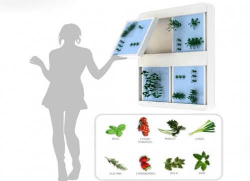 Ecohabitare - Jardines verticales para tu casa