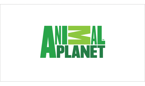 Logo Animal Planet: 2008. Dunning Eley Jones